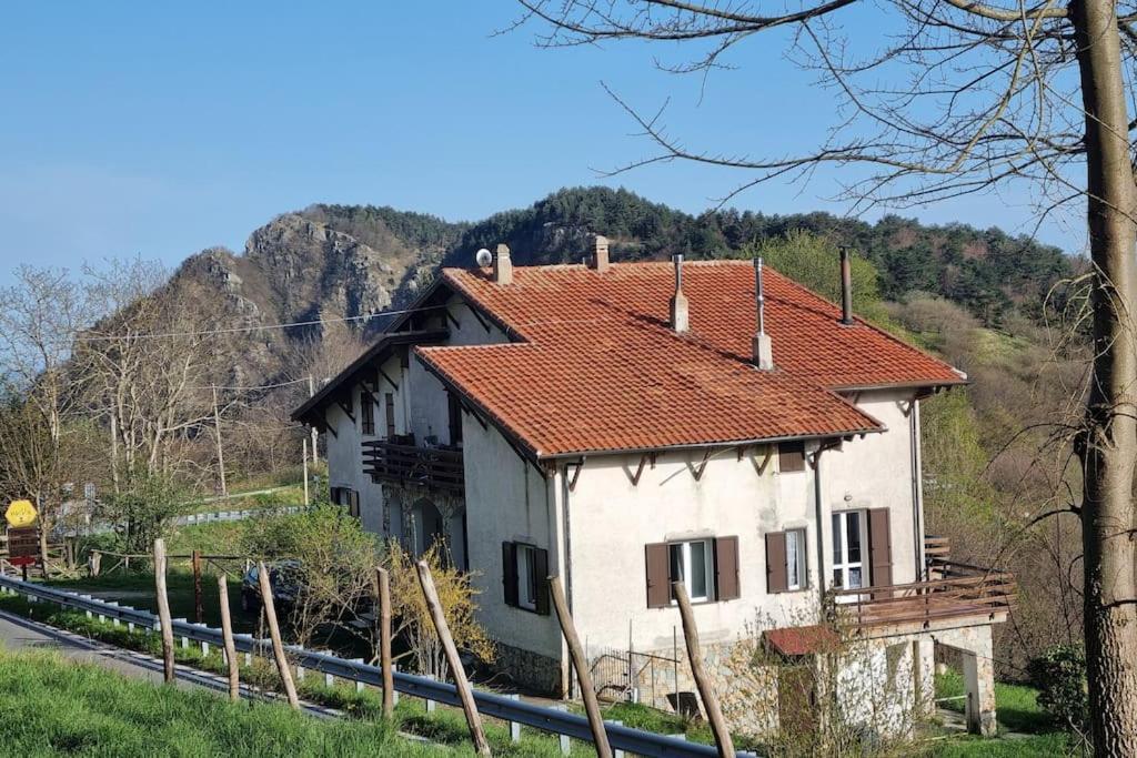 Bee Freeride Bikers House Magliolo